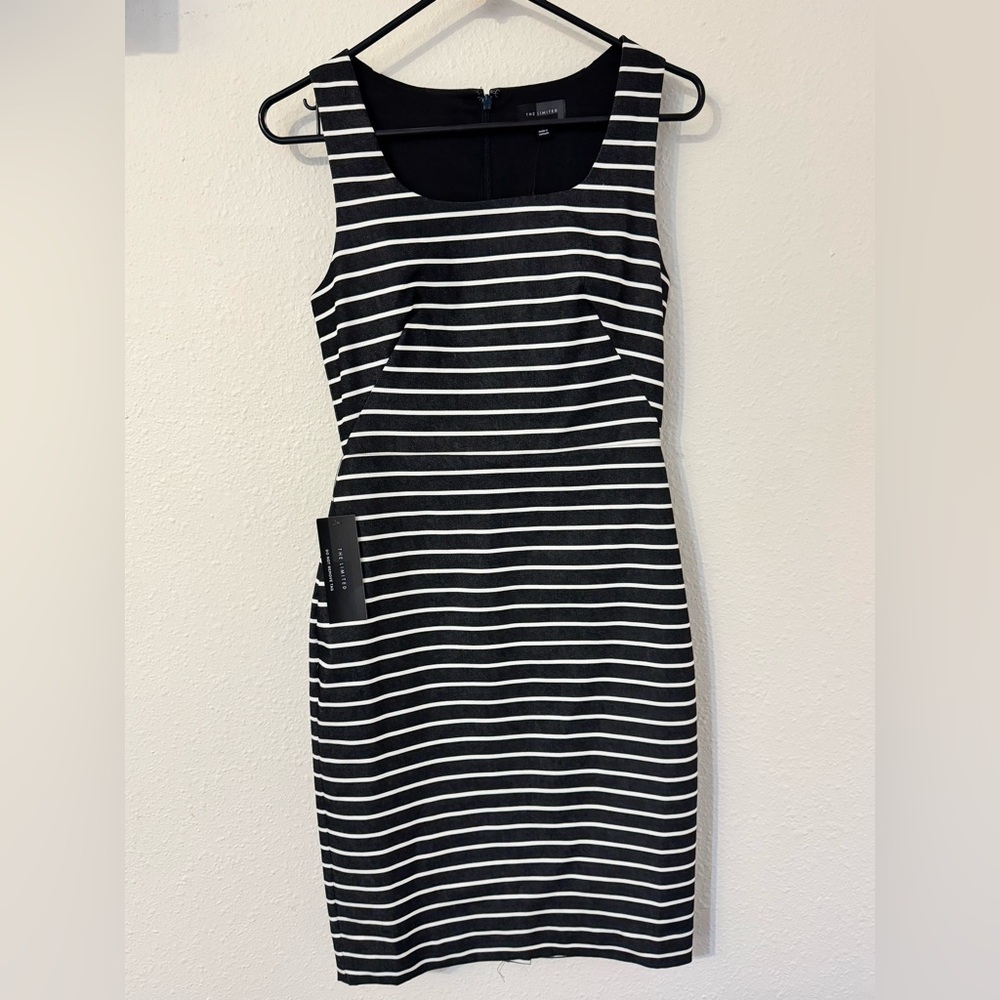 The Limited Black and White Striped Dress - Spring ‘21